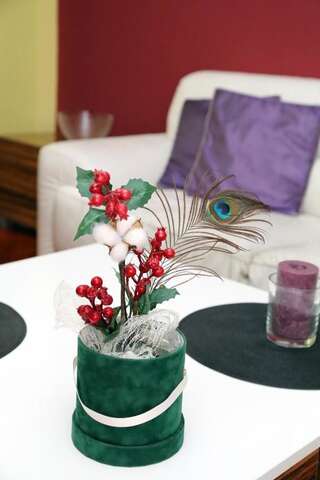 Апартаменты Apartman DMD Херцег-Нови Апартаменты с видом на море-38